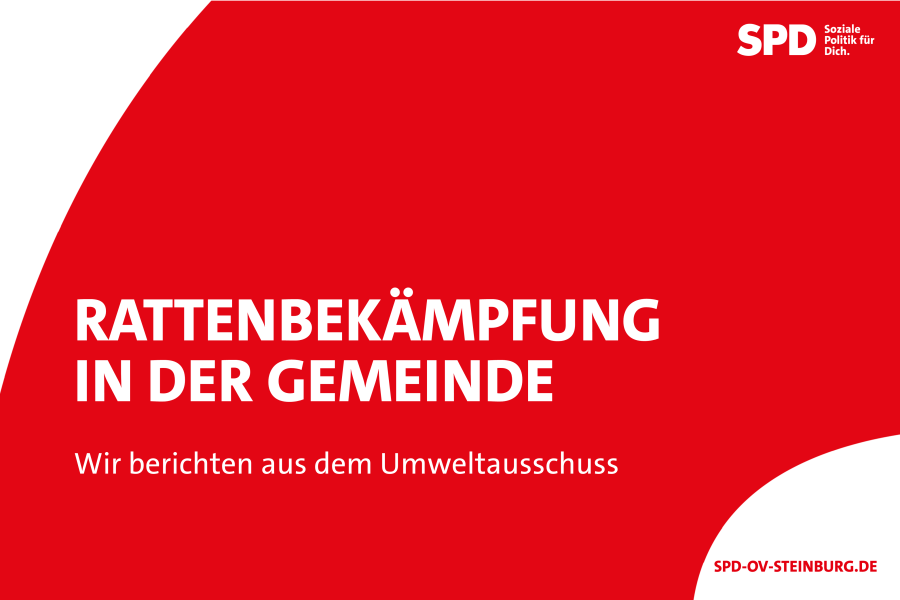 Titelbild Bericht Umweltausschuss Rattenbekämpfung